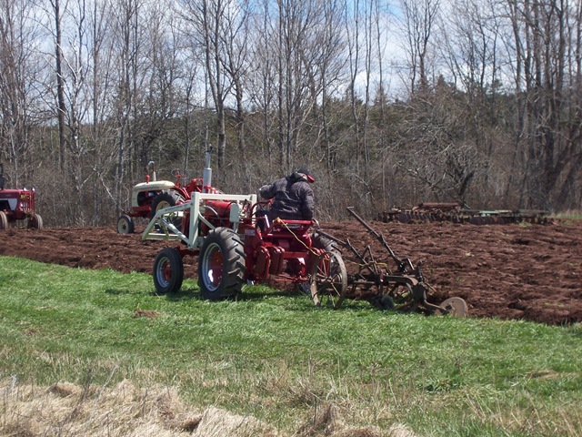 Ploughing Match