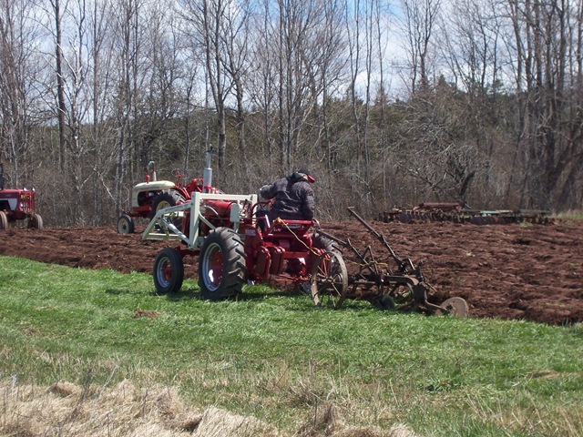 Ploughing Match