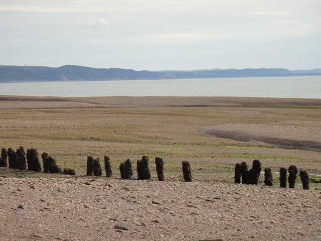 Old Shipyard