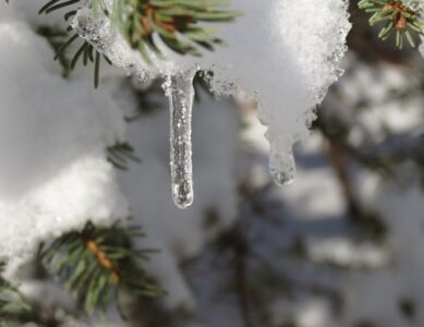 Icicle