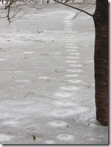 frozen footprints