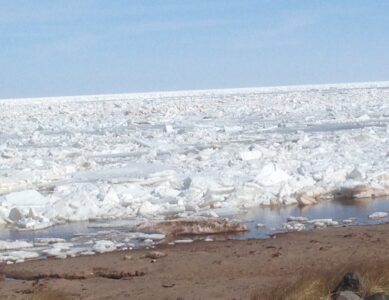 Ice Tide